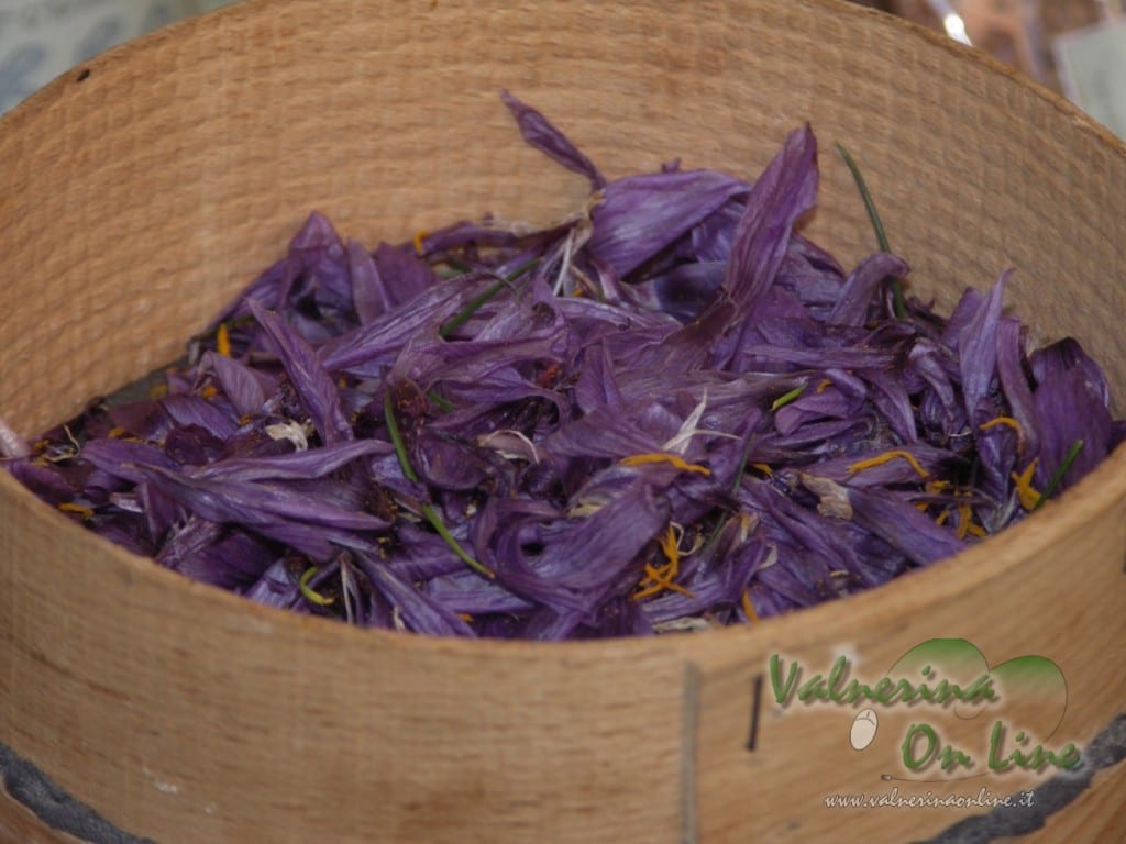 ciotola_fiori_zafferano_2008