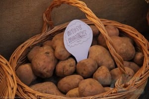 patate_biologiche